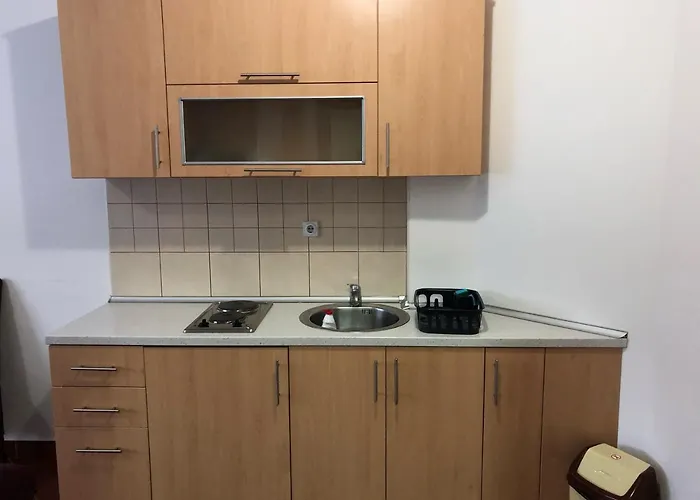 Apartament Nina Kopaonik